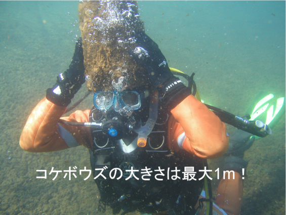 img_20210930-052229.png