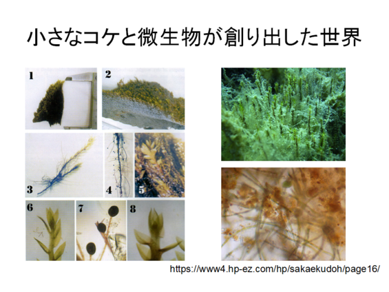 img_20210930-052337.png