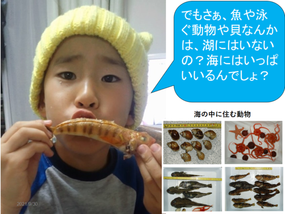 img_20210930-052449.png