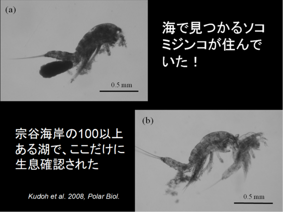 img_20210930-052536.png
