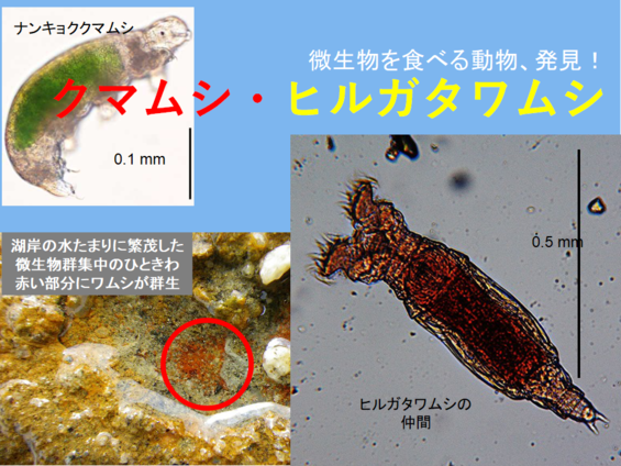 img_20210930-052729.png