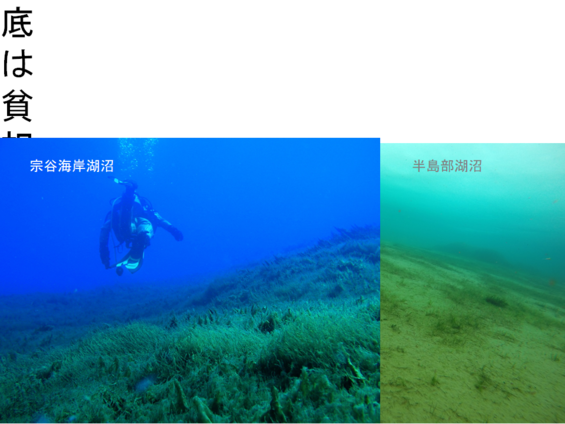 img_20210930-052901.png