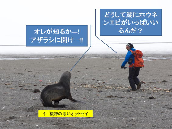 img_20210930-052936.png