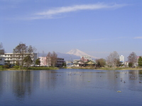 img_20160301-090704.jpg
