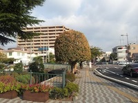 img_20160301-102337.jpg