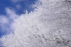img_20210131-050013.jpg