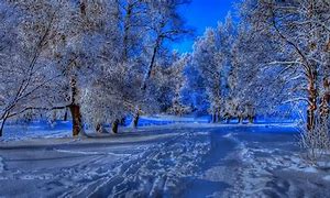 img_20210215-223753.jpg