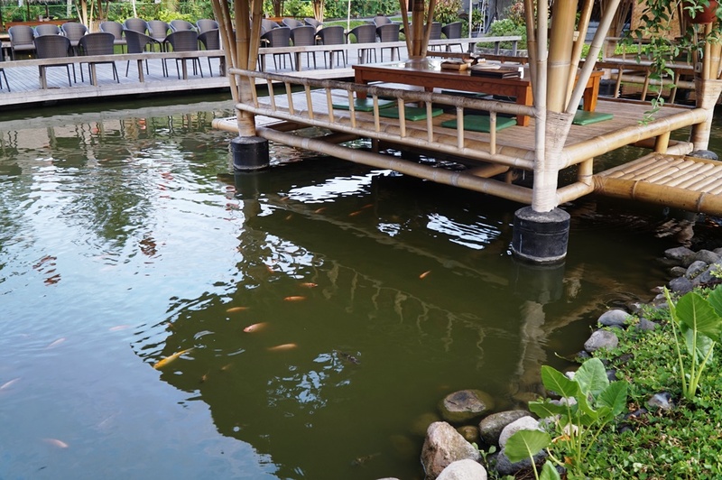 池に建てられているバレ