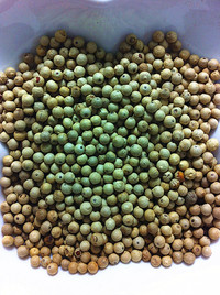 白胡椒粒/白コショウの実50g