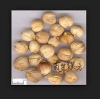 白豆蒄/ビャクズク 50g