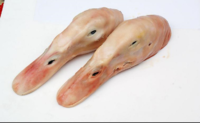 生鴨頭/生アヒルの頭1kg　冷凍品