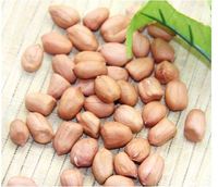 小粒花生/小粒落花生 1KG