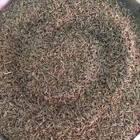 孜然粒/クミン粒　50g