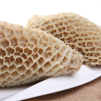 牛肚蜂窩/ハチノス500g　冷凍品