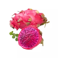 越南特大号紅芯火龍果/レッドピタヤ1玉　冷蔵発送
