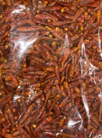 特製辣椒/特製唐辛子ホール　1kg