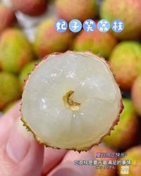 中国新鮮茘枝妃子笑1kg/ライチ　冷蔵発送