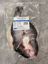 冷凍鯰魚/ナマズ900～1100g　冷凍品