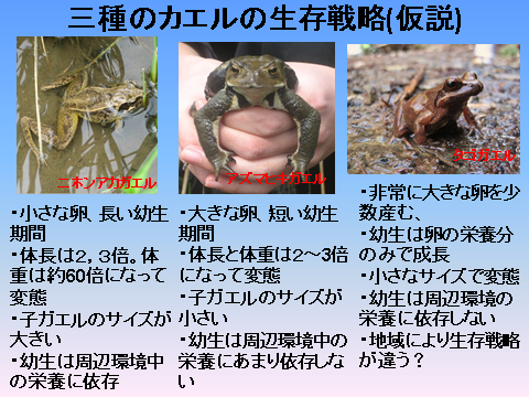 img_20130121-131342.png