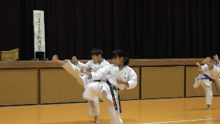 img_20230821-073136.jpg