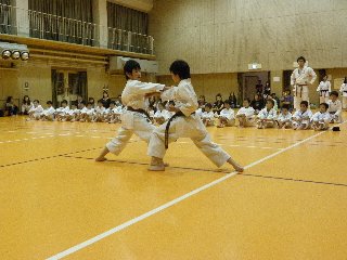 img_20230821-231440.jpg