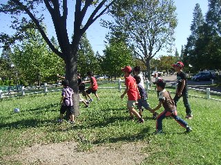 img_20230821-232704.jpg