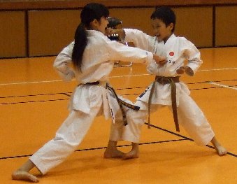 img_20230822-002945.jpg