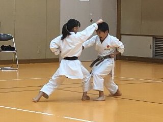 img_20230822-052547.jpg