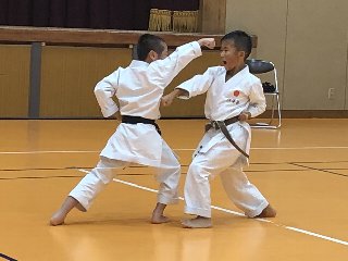 img_20230822-052555.jpg