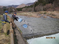 img_20200419-015549.jpg