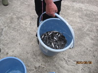 img_20200509-082337.jpg