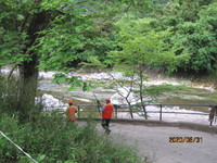 img_20200601-075204.jpg