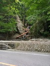 img_20200916-092558.jpg