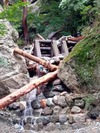 img_20200916-092625.jpg