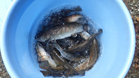 img_20201007-055300.jpg