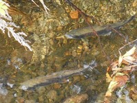 img_20201007-055322.jpg