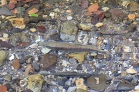 img_20201007-055337.jpg