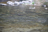 img_20201015-091109.jpg