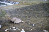 img_20201015-091314.jpg
