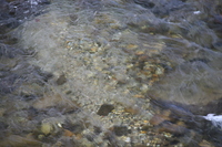 img_20201015-091604.jpg