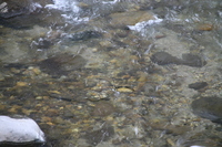 img_20201015-091746.jpg