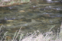 img_20201015-091945.jpg