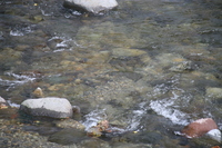 img_20201015-092141.jpg