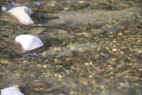 img_20201015-094312.jpg