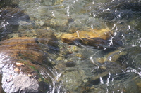 img_20201015-094516.jpg