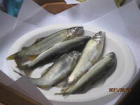 img_20210624-065218.jpg