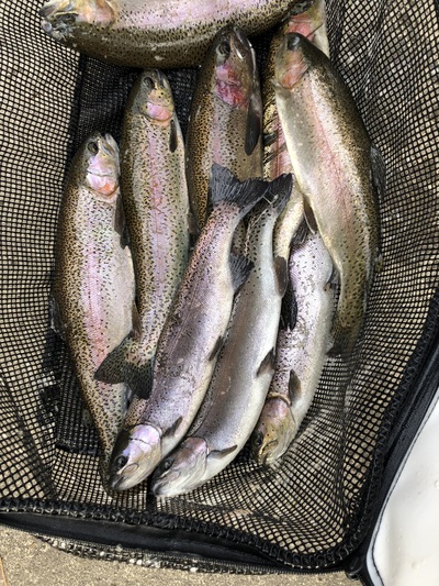 塩原漁業協同組合hp 組合からのお知らせ