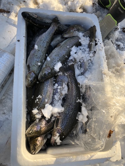 塩原漁業協同組合hp 組合からのお知らせ