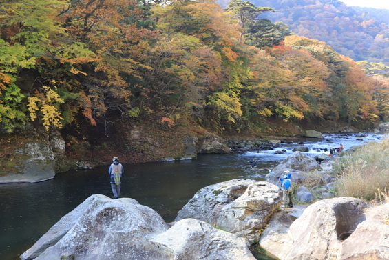 img_20221103-122838.jpg