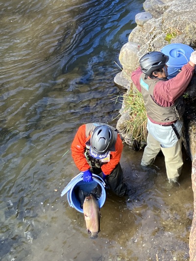 img_20231202-121030.jpg